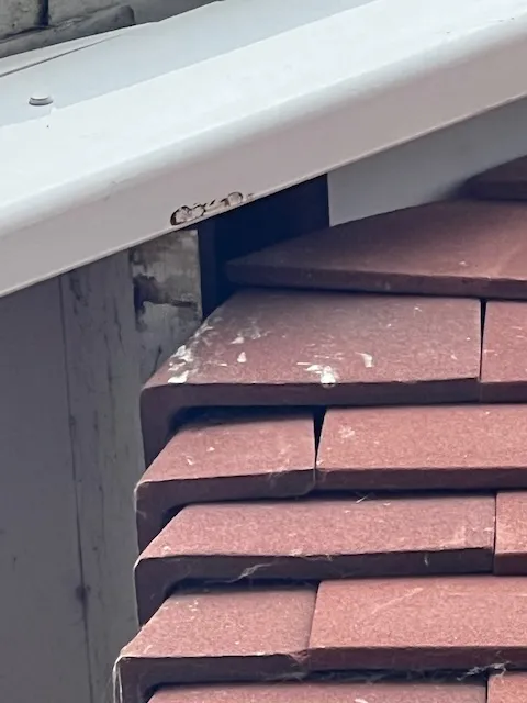 A close up of a brick building with a window.