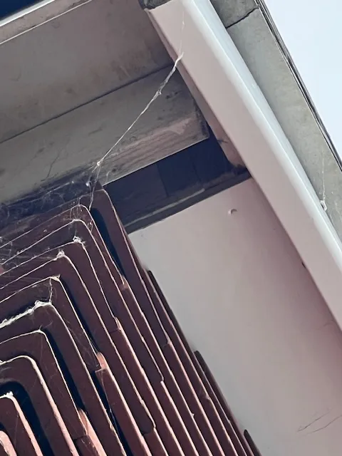 A close up of a bunch of chairs on a building.