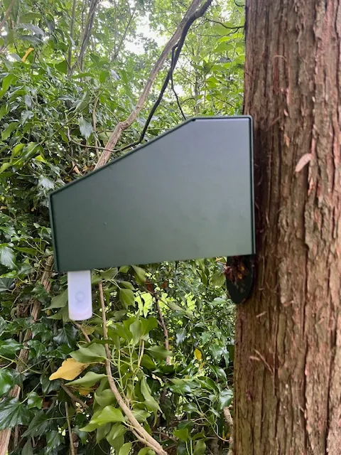 A sign attached to a tree in a forest.