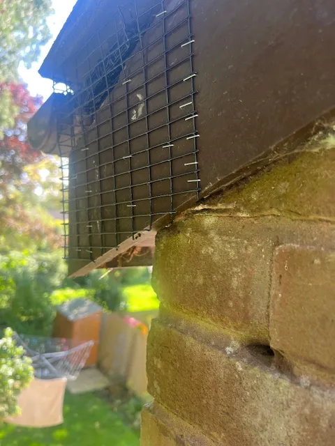 A bird feeder attached to the side of a building.