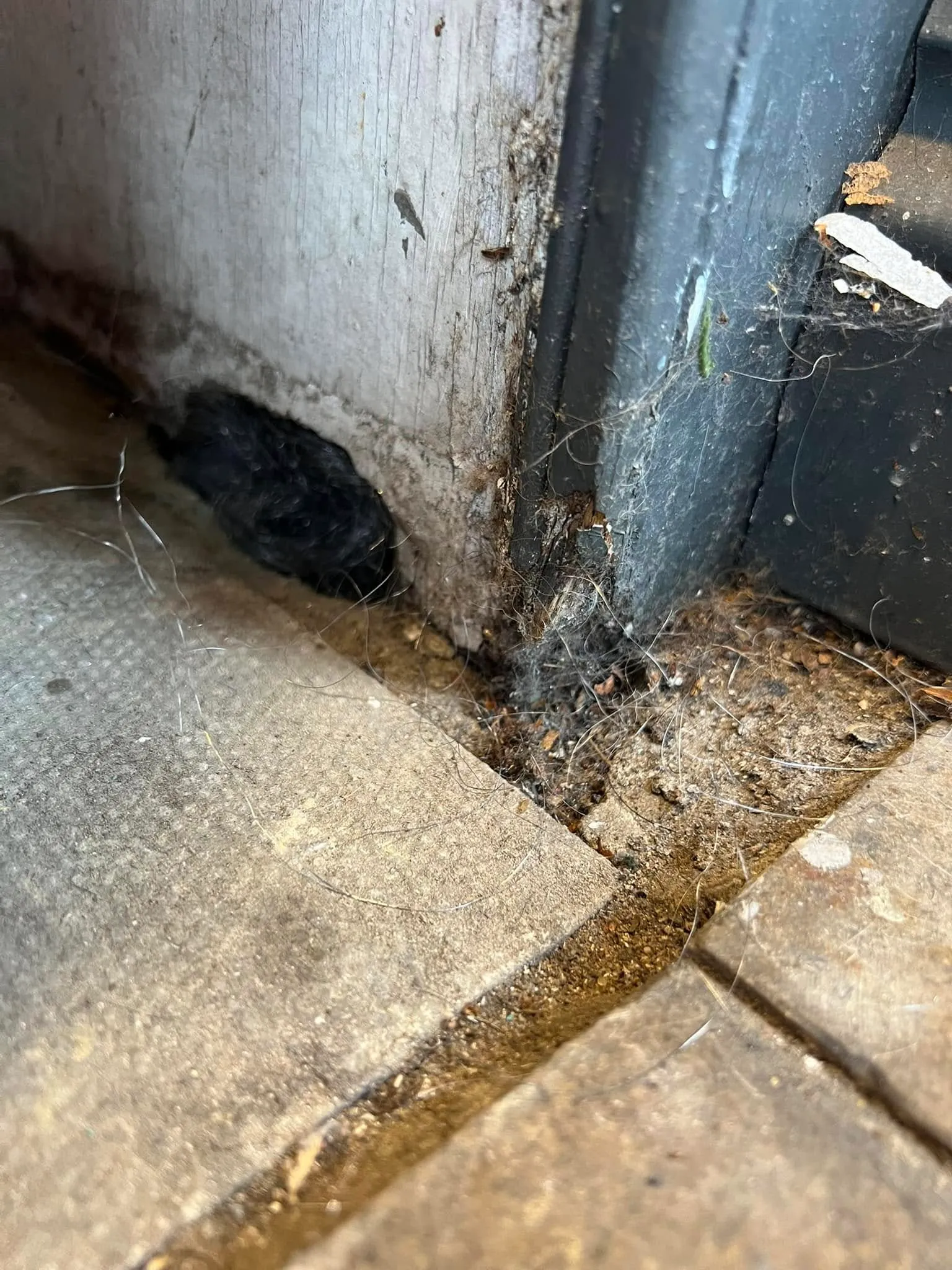 A close up of a door with dirt on the floor.